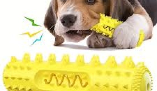KÖPEKLERDE KEMİRME OYUNCAKLARININ ÖNEMİ