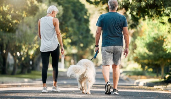 KÖPEKLERDE DOĞRU YÜRÜMENİN FAYDALARI