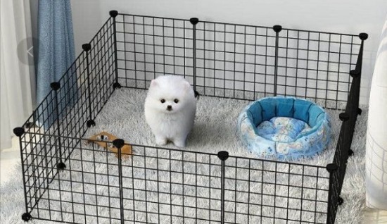 KÖPEKLERDE ALAN DARALTMANIN FAYDALARI