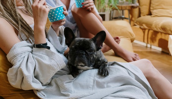 KÖPEKLER VE İNSANLAR ARASINDAKİ DUYGUSAL BAĞ