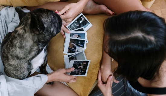 KÖPEKLERDE REHABİLİTE VE UYUM