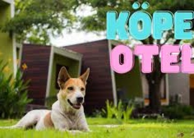 KÖPEK OTELİ VE KONAKLAMA
