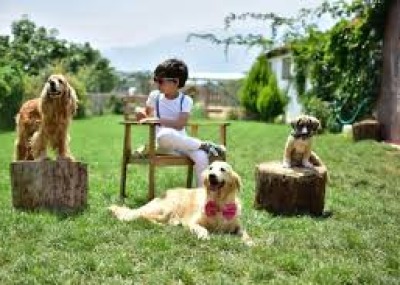 KÖPEK KREŞİ