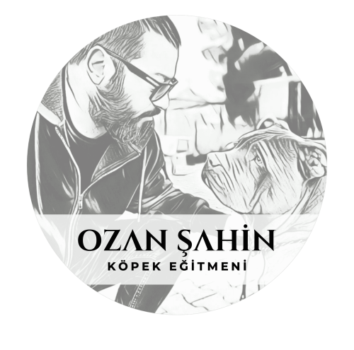 Randevu Alın